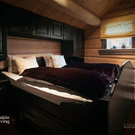 Hébergement de vacances Luxury At Nesfjellet With Sauna, Bbq, Close To & Golf Nesbyen